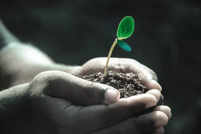 Troc-plantes à Châtillon-sur-Loire Le 28 sept 2024