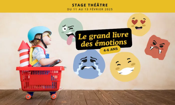 Stage 4-6 ans : Le grand livre des émotions