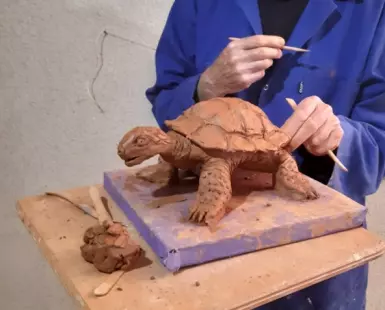 Atelier de modelage intergénérationnel / duo parents-enfants : La tortue et son bébé