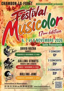 Musicolor - Calling Straits tribute band Rock