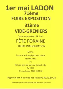 Foire Expo, Vide-Greniers & fête foraine