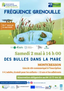 Des bulles dans la mare