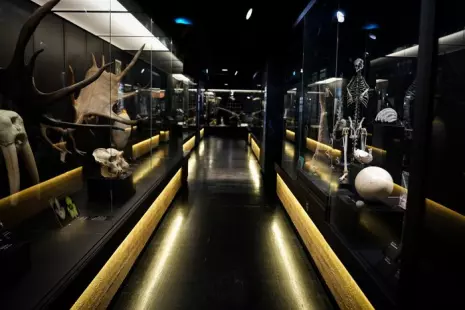 Visite gratuite du parcours