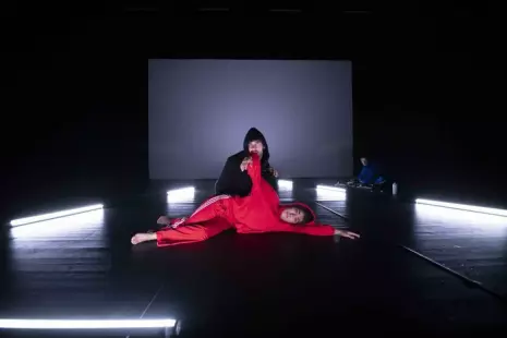 Le Petit Chaperon Rouge - SYLVAIN HUC