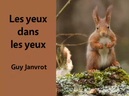 Exposition « Les yeux dans les yeux »