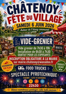 Vide-grenier