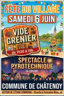 Vide-grenier