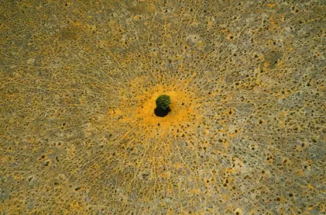Laudato Si' - Exposition de photographies de Yann Arthus-Bertrand