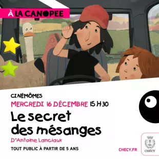 Le secret des mésanges