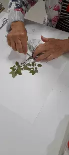 Ateliers créatifs