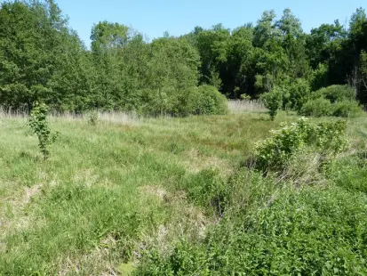 Un marais entre histoire et nature