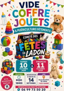 Vide-coffres à jouets