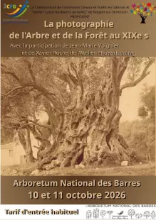 La photographie de l'arbre et de la forêt au XIXème siècle