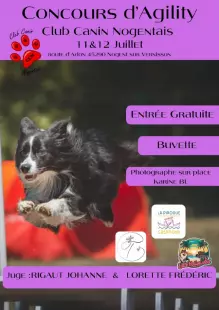 Concours agility