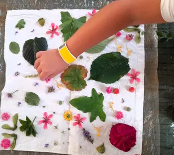 Atelier créatif végétal