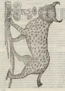 Jeudi patrimoine : Les animaux fantastiques, de l’Histoire naturelle aux Pokémon