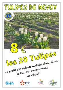 Vente de Tulipes par le Lion's Club Sully-Gien