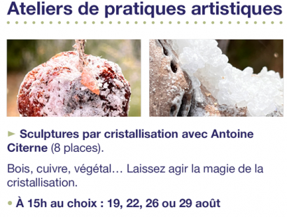 Atelier de pratiques artistiques : sculptures par cristallisation