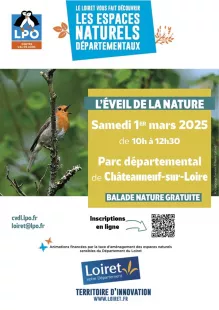 Balade nature : L'éveil de la nature