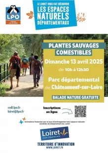 Balade nature : Découvrir les plantes sauvages comestibles