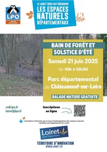 Balade nature : Bain de forêt et solstice d'été