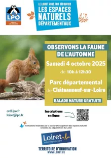 Balade nature : observons la faune de l'automne