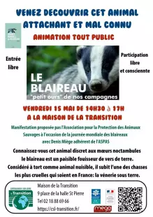 Animation et exposition sur le Blaireau