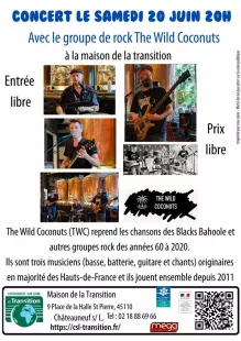 Concert de The Wild Coconuts