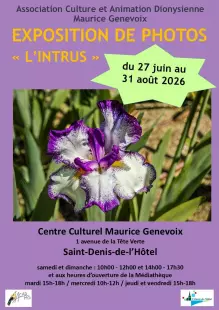 Exposition de photographies : L'intrus