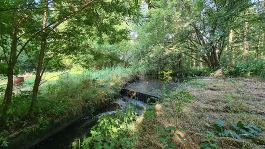 Journées du Patrimoine - Visites commentées du Moulin de Fleuri