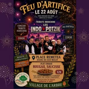 Feu d'artifice