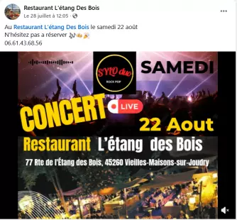 Concert Sylo Duo (rock pop)