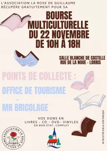 Bourse aux livres, vinyles, CD, DVD