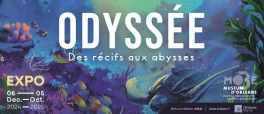 VISITE EN FAMILLE - exposition « Odyssée, des récifs aux abysses »