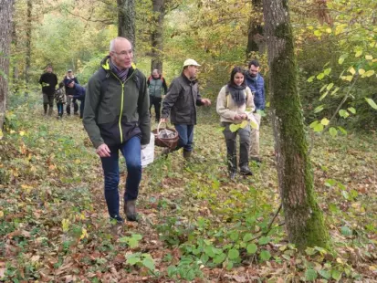 Champignons en Forêt d'Orléans