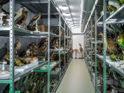 Visites guidées du centre de conservation