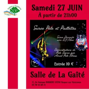 Soirée pole dance et paillettes