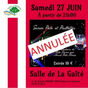 Soirée pole dance et paillettes
