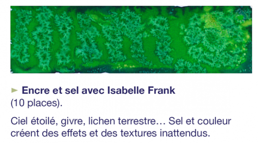 Atelier de pratiques artistiques : Encre et sel