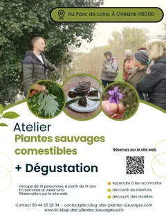 Atelier plantes sauvages comestibles + Dégustation Orléans