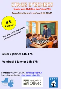 Stage d'initiation au jeu d'échecs