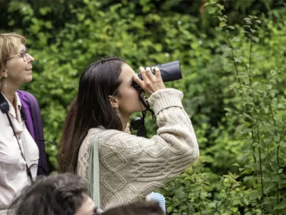 À la découverte de la biodiversité sur l'Ile Charlemagne