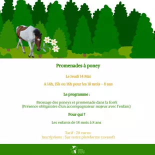 Promenades à poney au Cercle Hippique d'Olivet