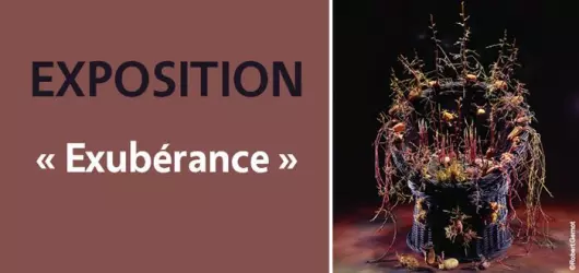 Exposition Exubérance