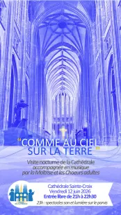 Visite musicale et spectacles son et lumière