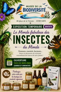 Exposition temporaire 