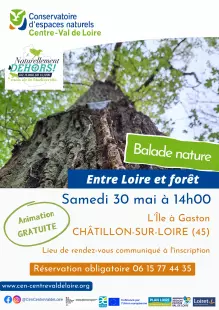 Balade nature : Entre Loire et forêt sur l'île à Gaston