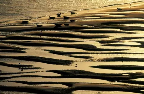 Laudato Si' - Exposition de photographies de Yann Arthus-Bertrand