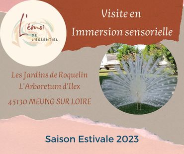 Visite en immersion sensorielle - Arboretum