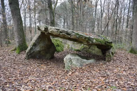 Les Jeudis du Patrimoine : Patrimoine préhistorique de la région Centre-Val de Loire, un patrimoine